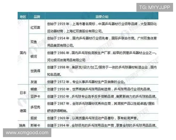 武汉羽毛球队个人能力分析与发展潜力探讨 武汉羽毛球队个人能力分析与发展潜力探讨