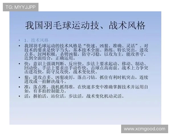 深入分析杭州羽毛球队控制打法的战术特点与应用策略 深入分析杭州羽毛球队控制打法的战术特点与应用策略