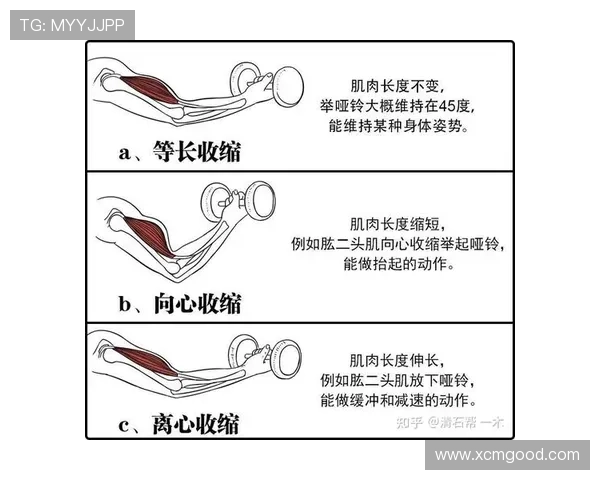 深圳羽毛球队耐力提升之路与训练方法深度解析 深圳羽毛球队耐力提升之路与训练方法深度解析