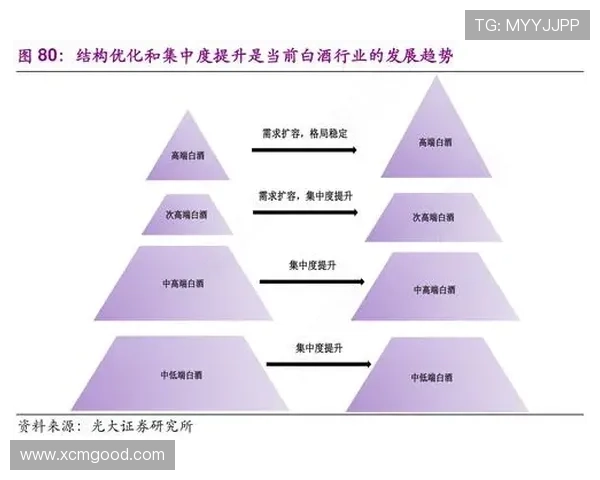 西安篮球队的战术创新与运营体系探讨及其对球队发展的影响分析 西安篮球队的战术创新与运营体系探讨及其对球队发展的影响分析