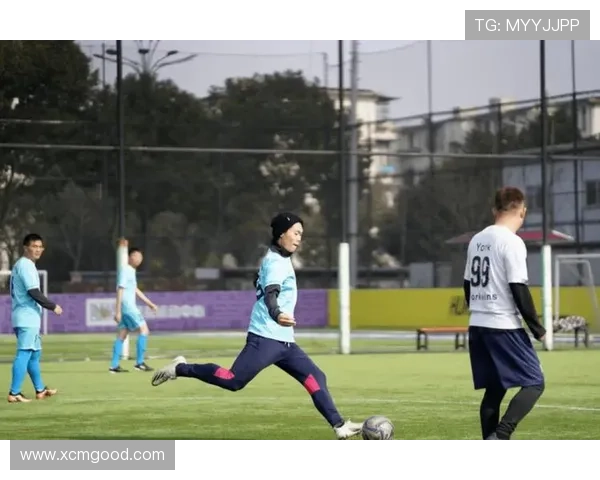 香港足球明星队的归去与未来展望探讨