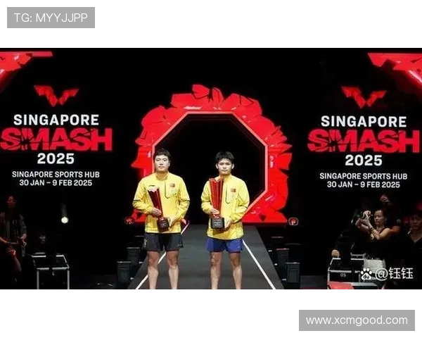 足球明星斯坦达尔的传奇人生与赛场辉煌成就全解析